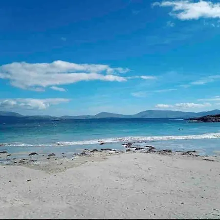 Maisie Ryan's קהרדניאל