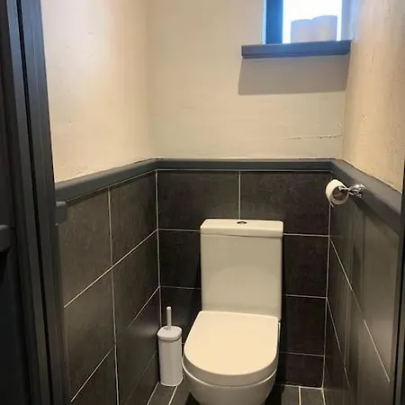 Maisie Ryan's קהרדניאל